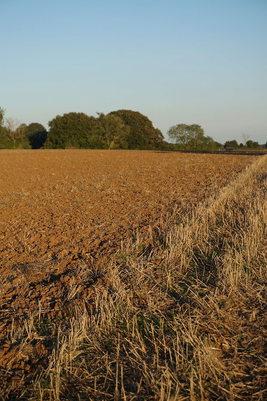 Image of Harvest Festival Scarf - Plaster + Poppy - Block Printed