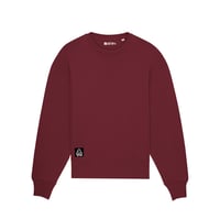 Setup® MTN Bricko Eco Sweatshirt (Mens XXS)