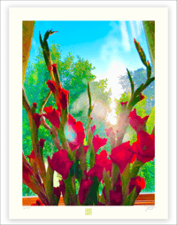 Image 1 of BLOOD RED GLAD (24X18)
