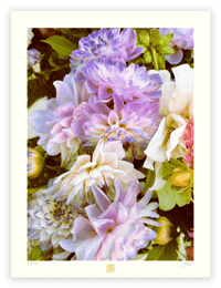 Image 1 of A DAHLIA RENDEZVOUS (24X18)