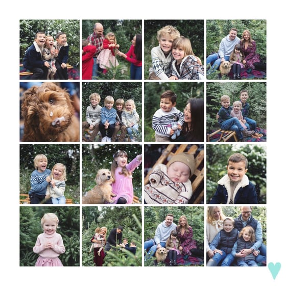 Image of Mini Session - Christmas Tree Farm 2024