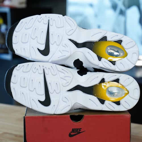 Image of Nike Air DT Max '96