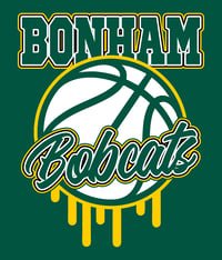 Image 2 of Bonham Splash Basketball