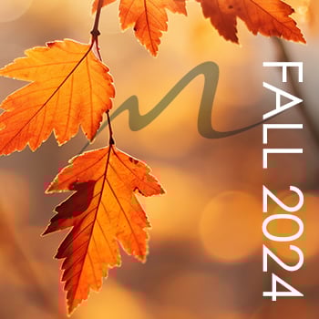 Fall 2024 Mini Session Balance