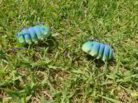 Image 2 of Mini Grub