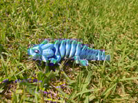 Image 1 of Axolotl 