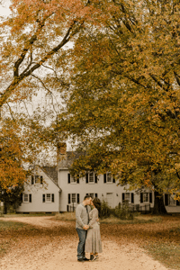 Image 5 of FALL MINIS