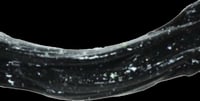 Image 8 of Water Slime/Black Licorice Candy Scented/ Black Color/Slime/Thick Scented Slime/7 once/Best Textu...