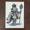 Image of The cat purrince