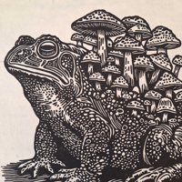 Image of Toadstool (Black)