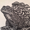 Image of Toadstool (Black)