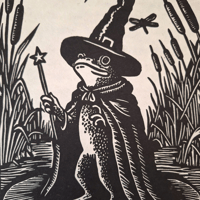 Image of Frederick the frog wizard