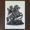 Image of Medieval Ghostrider (A3)