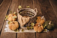 Image 2 of Autumn set with pumpkins