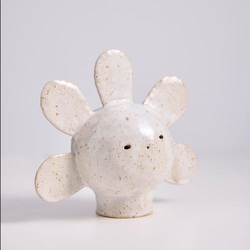 Image of Portrait de fleur / Flower portrait