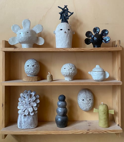 Image of Portrait de fleur / Flower portrait