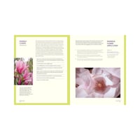 Image 3 of Forage & Feast: Recipes for Bringing Mushrooms & Wild Plants to Your Table by Chrissy Tracey