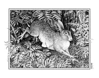 Image 1 of Chicken-footed Hare · Print