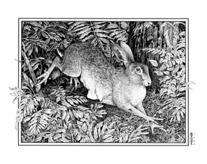 Chicken-footed Hare · Print