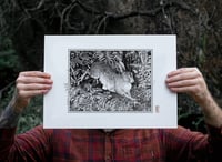 Image 2 of Chicken-footed Hare · Print