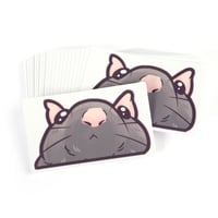 Image 4 of Chunky Rat Window Peeker Transfer Sticker