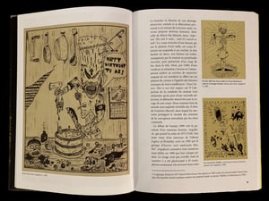 Image of Pierre Dourthe - DISGRÂCE EN AMÉRIQUE. Dix ans de l'art de MIKE DIANA (1988-1997)