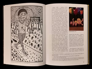 Image of Pierre Dourthe - DISGRÂCE EN AMÉRIQUE. Dix ans de l'art de MIKE DIANA (1988-1997)