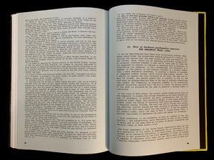 Image of Pierre Dourthe - DISGRÂCE EN AMÉRIQUE. Dix ans de l'art de MIKE DIANA (1988-1997)