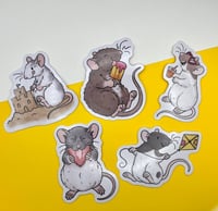 Image 3 of CLEARANCE - Summer Time Sweeties Vinyl Rat Stickers