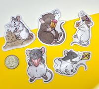 Image 2 of CLEARANCE - Summer Time Sweeties Vinyl Rat Stickers