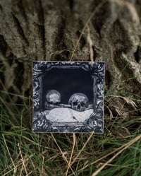 Image 3 of Samhain Skulls Stickers