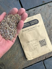 Winter Cover - Diverse cover crop 200g