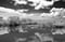 Image of THE EVERGLADES FL, Black & White, 2024