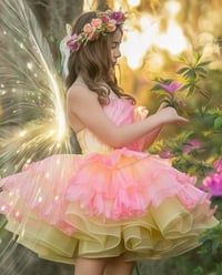 Image 3 of Fairies Session (6/22/25)