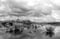 Image of TEN THOUSAND ISLANDS TRAIL FL (#2), Black & White, 2024