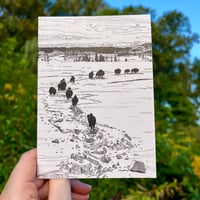 Image 1 of Yellowstone Bison Greeting Card