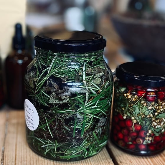 Image of BUILDING YOUR HOME APOTHECARY-AT SLOW LIVING MARKET, SUFFOLK, SAT. NOV. 2, 10am-1pm