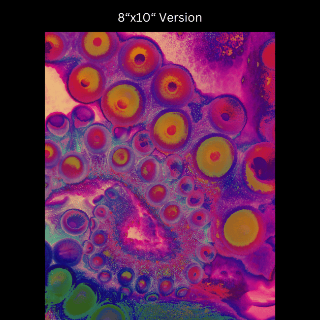 Ruby Octopus Rainbow Spiral | Art Prints & Stickers