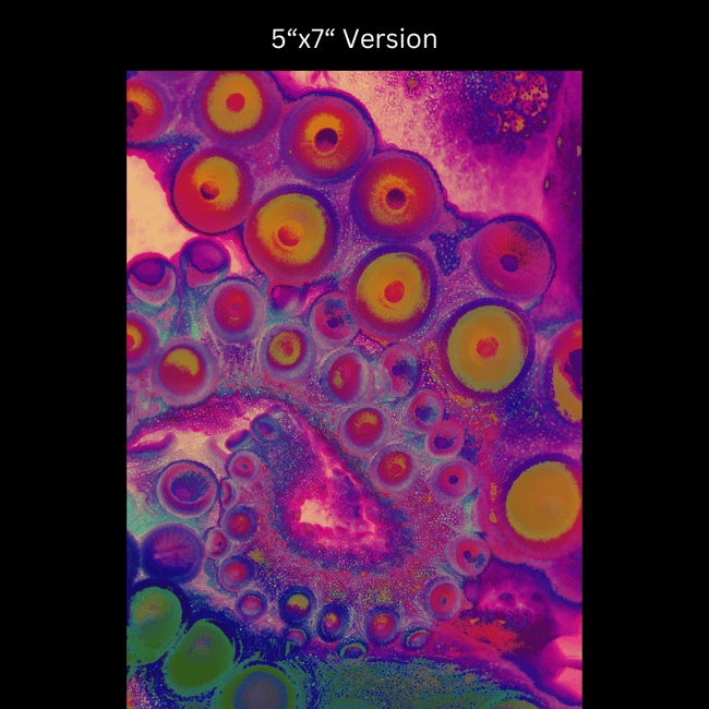 Ruby Octopus Rainbow Spiral | Art Prints & Stickers