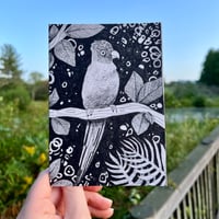 Image 1 of Parrot Greeting Card