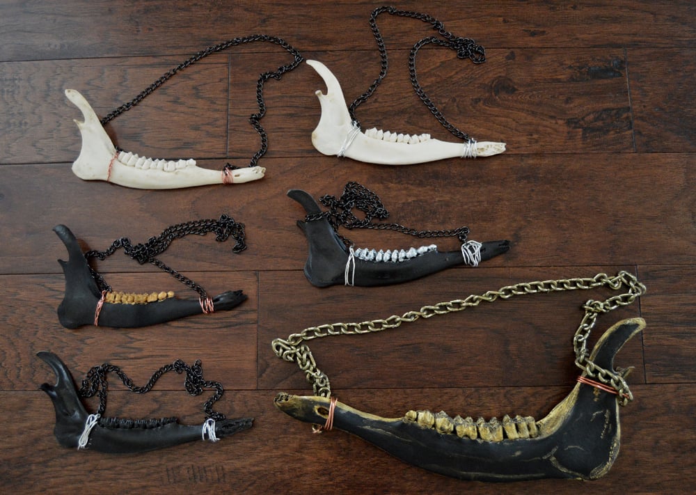 Image of Jawbone Necklaces