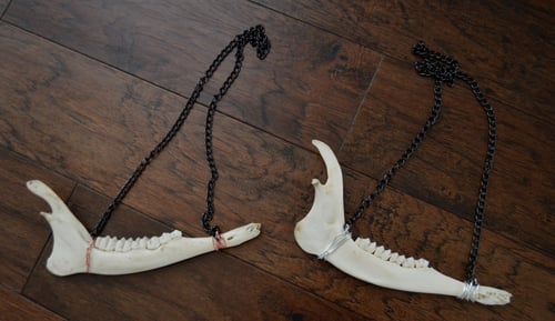 Image of Jawbone Necklaces