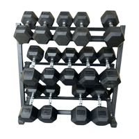 New pair of 25,30,35,40,45,50,55lb rubber dumbbells + rack.
