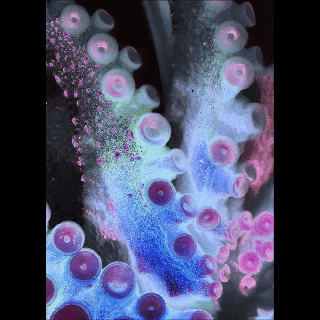 Look with your arms | Art Prints & Stickers