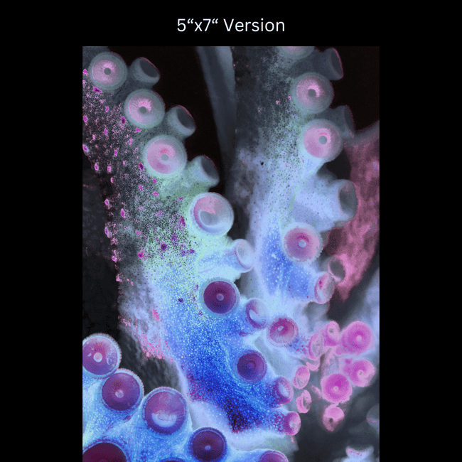 Look with your arms | Art Prints & Stickers