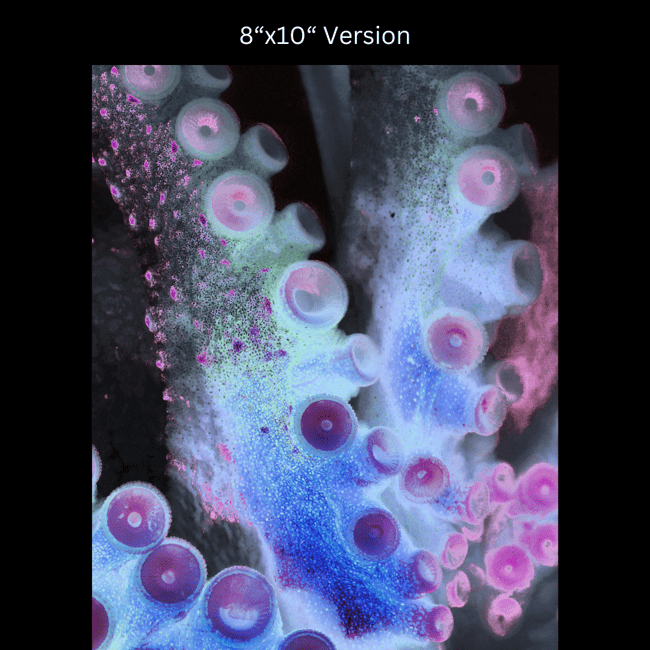 Look with your arms | Art Prints & Stickers