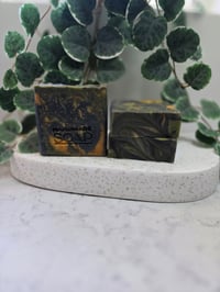 Image 1 of Dragons Blood