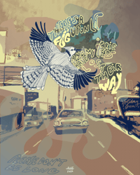 Blue Jay Way
