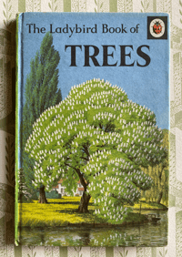 Image 1 of The Ladybird Book of Trees