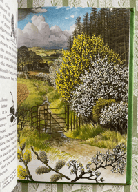 Image 4 of The Ladybird Book of Trees